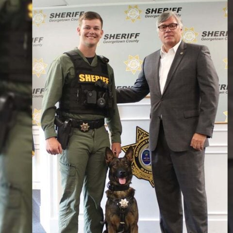 Welcome aboard, five-0 pup joins sheriff's office - photo licensed by shore news network.