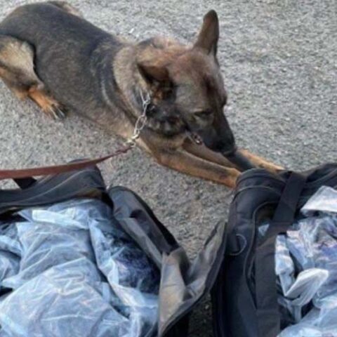 Fitchburg man sentenced to 8 years for possessing methamphetamine for distribution - photo licensed by shore news network.