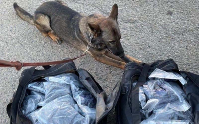 Border Patrol Agents Seize Nearly $300,000 in Meth