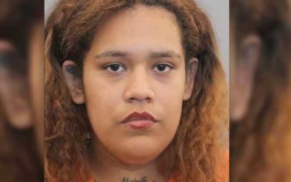 Mom tried to shoot six-month-old boxer puppy, hits her own son instead Mom tried to shoot six-month-old boxer puppy, hits her own son instead