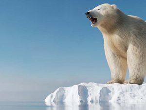 Joe biden: greatest threat facing american defense is climate change