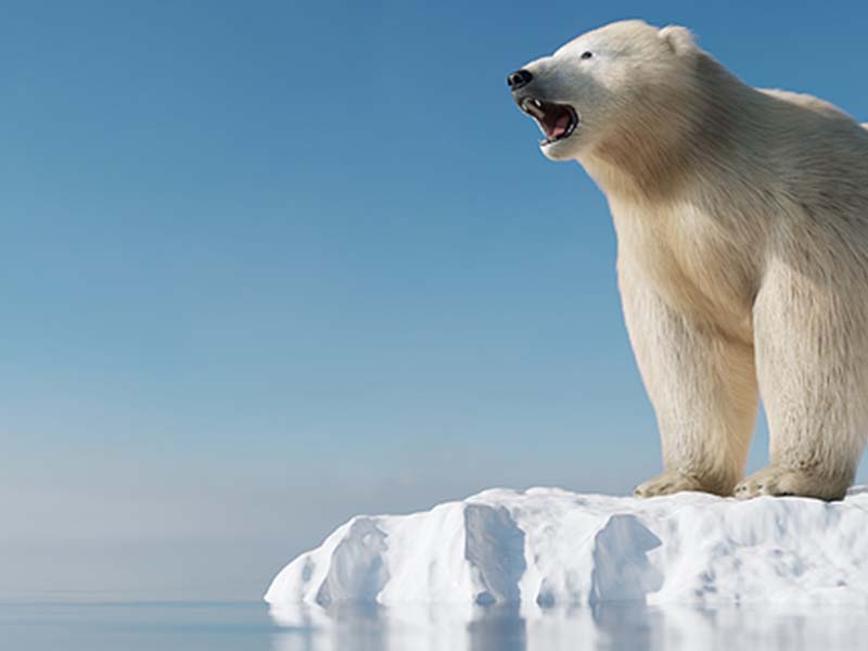 Joe Biden: Greatest threat facing American defense is climate change