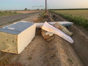 Dirty dumpers caught red-handed in fresno