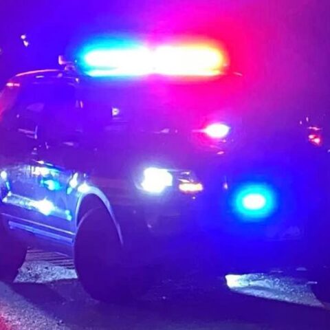 Two shot sitting in car in mifflin township - photo licensed by shore news network.