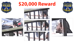 Do you know him? Philly police say he's wanted for murder