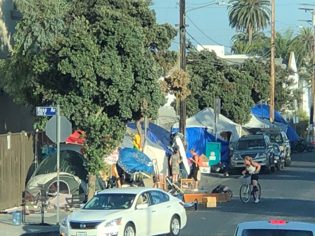 Venice beach homeless advocate caught dealing meth