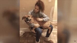 While looking for a new puppy woman spots the dog she lost While looking for a new puppy woman spots the dog she lost