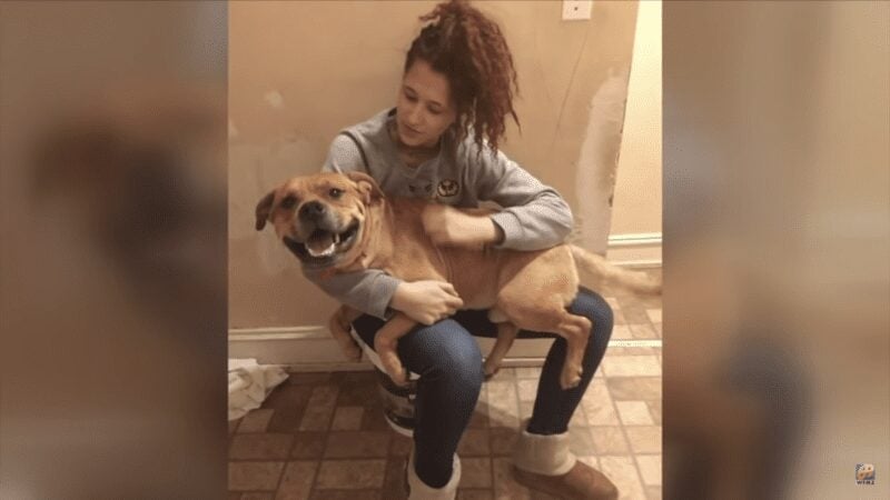 While looking for a new puppy woman spots the dog she lost