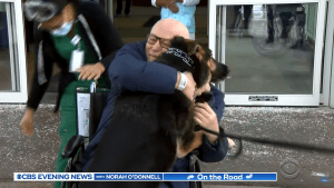 Rescue German Shepard Saves Owner from Stroke