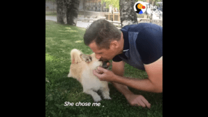 Abandoned dog joins man on race and he goes through many obstacles to bring her home