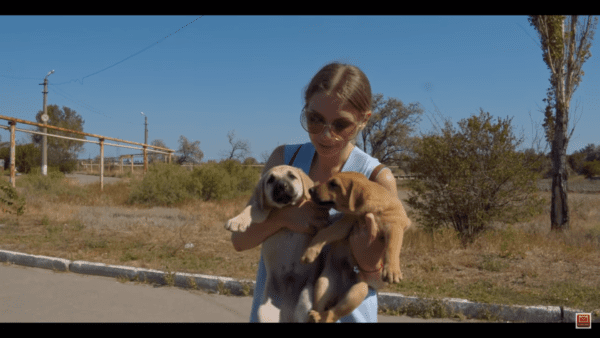 Sweet mama dog says goodbye to her puppies one last time - photo licensed by shore news network.
