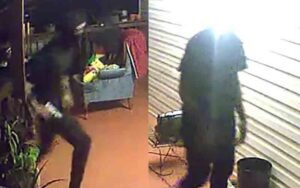Armed robbers sought in opelika