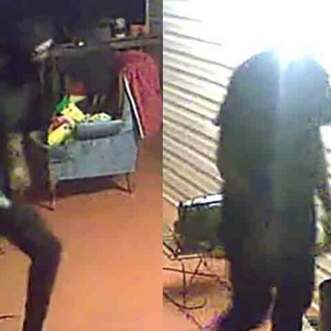 Armed robbers sought in opelika - photo licensed by shore news network.