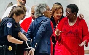 One arrested after democrats breach capitol hill senate offices in protest