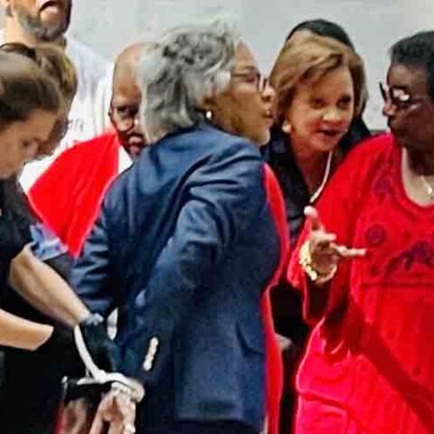 One arrested after democrats breach capitol hill senate offices in protest - photo licensed by shore news network.