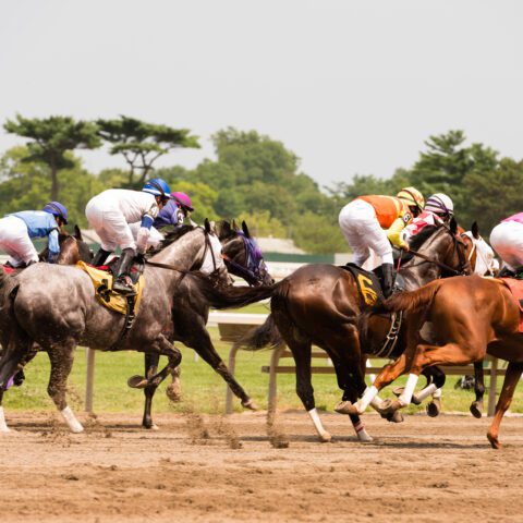 $48,000 horse racing winning bet placed in silver spring - photo licensed by shore news network.
