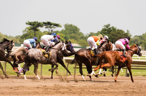 $48,000 Horse Racing Winning Bet Placed in Silver Spring