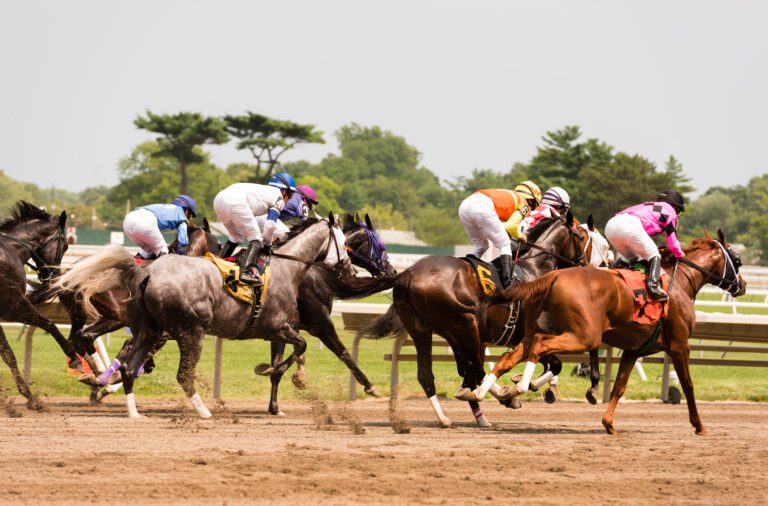 $48,000 horse racing winning bet placed in silver spring - photo licensed by shore news network.