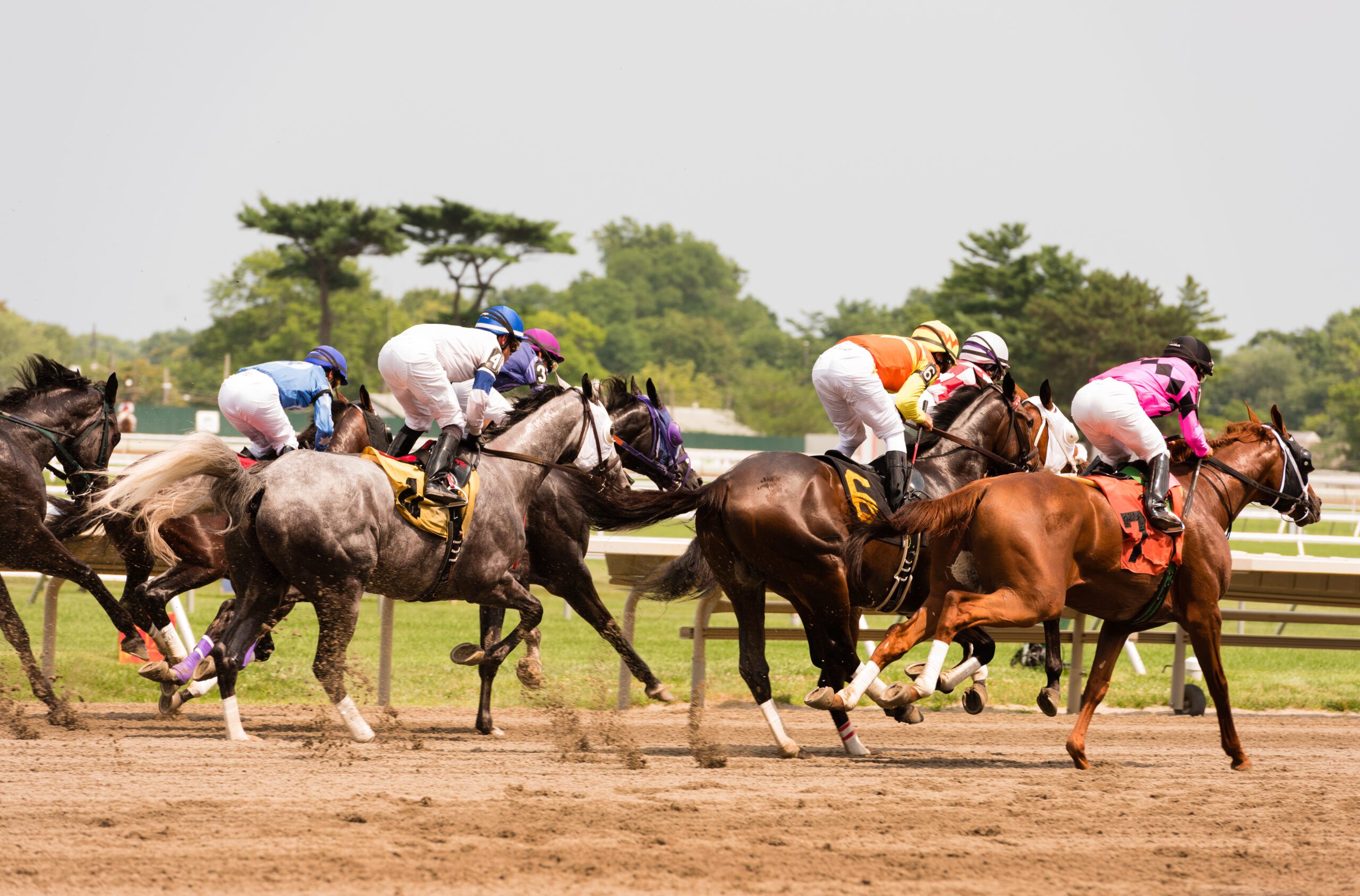 $48,000 Horse Racing Winning Bet Placed in Silver Spring