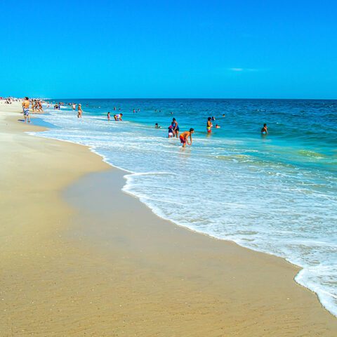 Shark attack? Lifeguard bit in water off jones beach - photo licensed by shore news network.