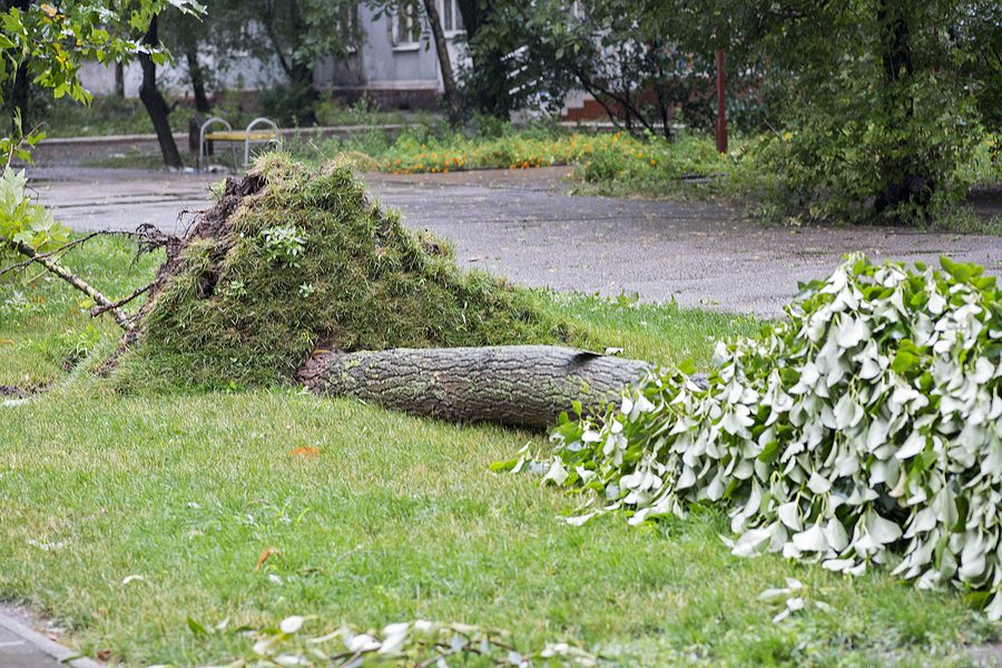 Is New Jersey America's new tornado alley? Another twister confirmed by NWS