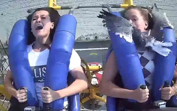 Teen struck by a seagull on Wildwood Slingshot ride