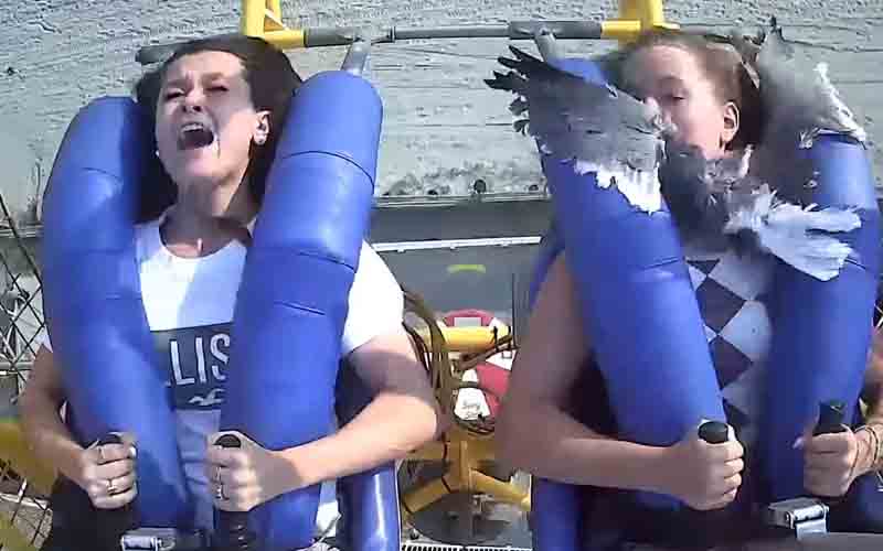 Teen struck by a seagull on Wildwood Slingshot ride