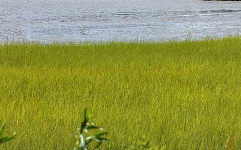 Boaters rescued on dark, stormy night after boat crashed, overturned in Cattus Island marsh