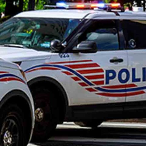 D. C. Homicide suspect taken into custody - photo licensed by shore news network.