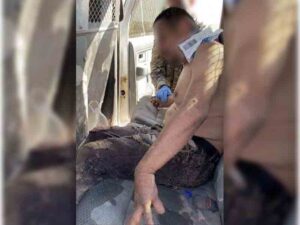 Border patrol agents render aid to dehydrated individuals in the mountains