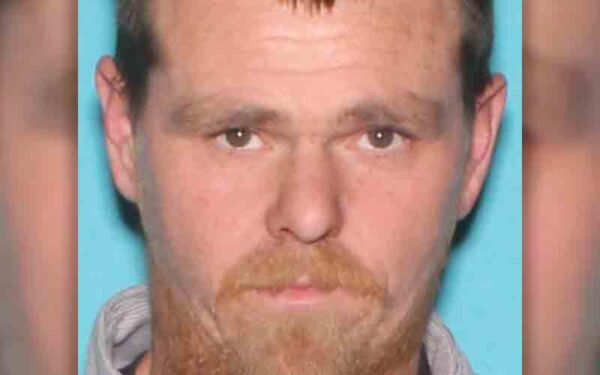 Gold alert issued for missing seaford man