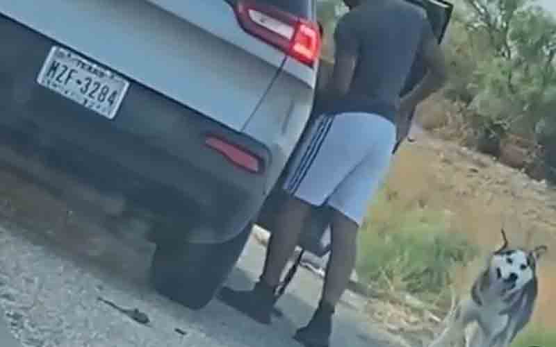 A heartbreaking tale of Husky abandoned on highway has an amazing ending
