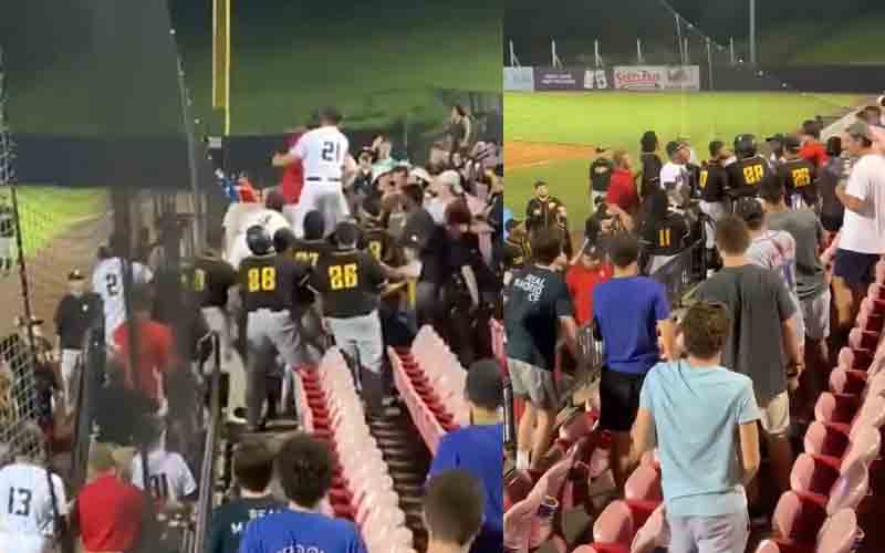 Fight at New Jersey minor league baseball game on Dollar Beer Night