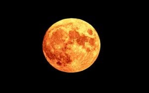 Have you seen the orange moon this week Heres whats happening