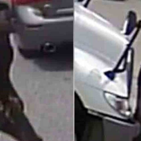 Police searching for two who murdered man and stole his scooter - photo licensed by shore news network.