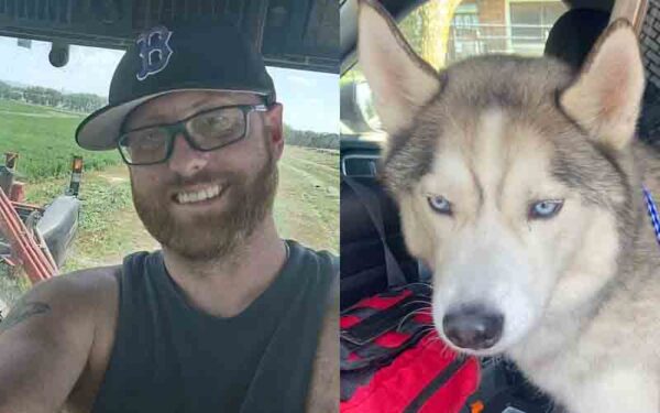 Police rescue dog from hot car hours after owner shot and killed in walmart parking lot - photo licensed by shore news network.