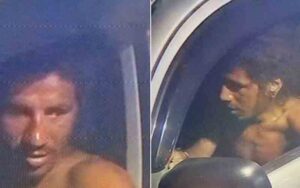 Police searching for tarzan after stealing truck with roadrunner and jesus stickers
