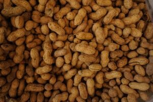 Border agents seize meth shipment hidden inside empty peanut shells