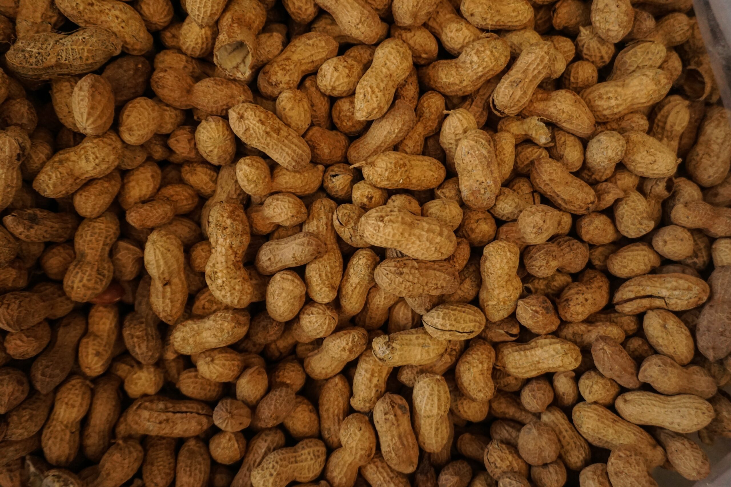 Border agents seize meth shipment hidden inside empty peanut shells