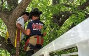 Firefighters rescue man who climbed tree to save a cat