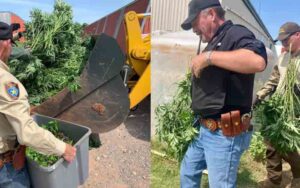 Illegal weed farm in elk city shut down as police blame weak laws