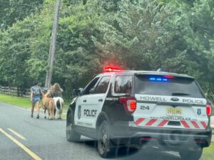 Police not horsing around after capturing two escaped fugitive ponies