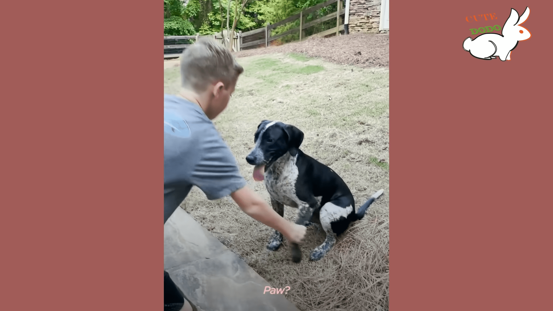 Sick Puppy Dumped at Shelter Makes Miracle Recovery