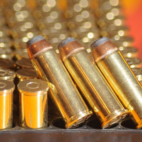 Felon pleads guilty to illegally possessing firearms - photo licensed by shore news network.