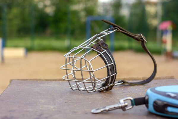 Fired vaccine manager’s credit card bought muzzle she claims was sent to threaten her - photo licensed by shore news network.