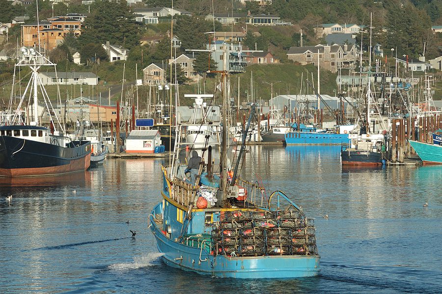 Kodiak Fisherman Sentenced Federal Prison and $1 million Fine for Falsifying Fishing Records