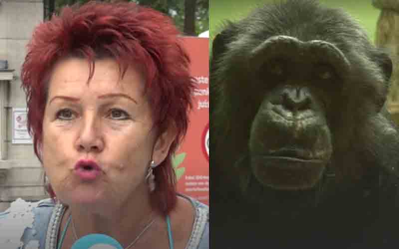 Woman banned from zoo over her unhealthy relationship with a chimpanzee
