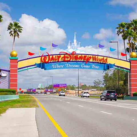 Three disney world employees arrested in statewide child predator operation, bust - photo licensed by shore news network.