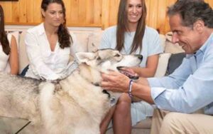 Did cuomo abandon his dog at governor's mansion? Ex-gov responds to newspaper report