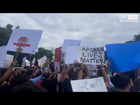 'Biden, You Betrayed Us!': Anti-Taliban Protest Breaks Out At White House